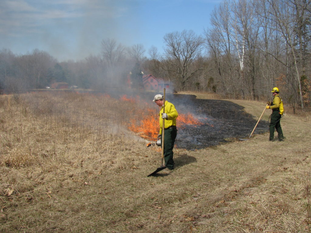 Prescribed Burns – Habitat Solutions